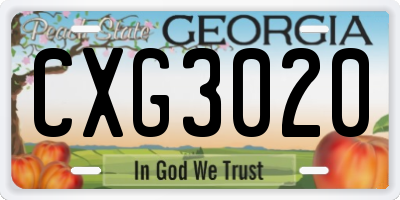 GA license plate CXG3020