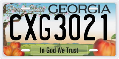 GA license plate CXG3021