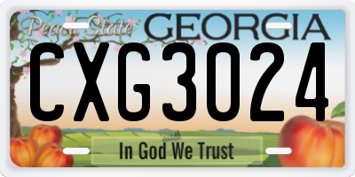 GA license plate CXG3024