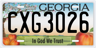 GA license plate CXG3026