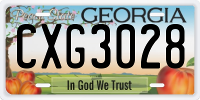 GA license plate CXG3028