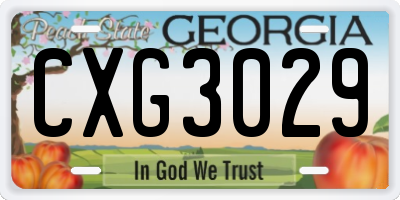 GA license plate CXG3029