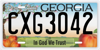 GA license plate CXG3042