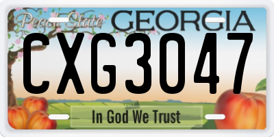 GA license plate CXG3047