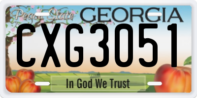 GA license plate CXG3051