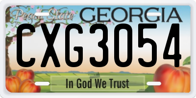 GA license plate CXG3054