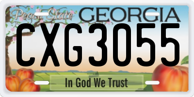 GA license plate CXG3055