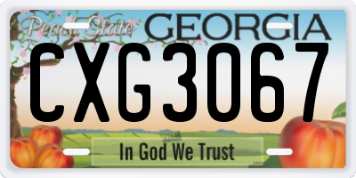 GA license plate CXG3067