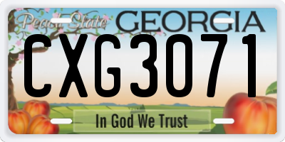 GA license plate CXG3071