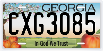 GA license plate CXG3085