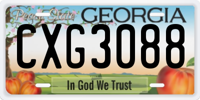 GA license plate CXG3088