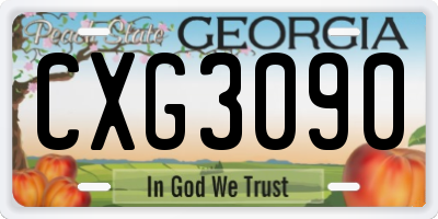 GA license plate CXG3090