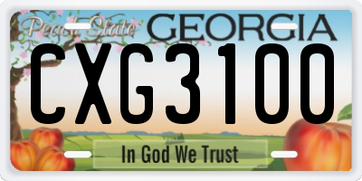 GA license plate CXG3100