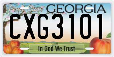 GA license plate CXG3101