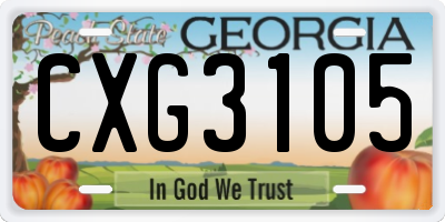 GA license plate CXG3105