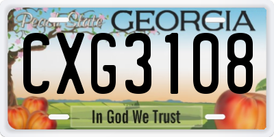 GA license plate CXG3108