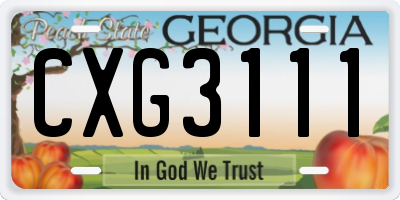 GA license plate CXG3111