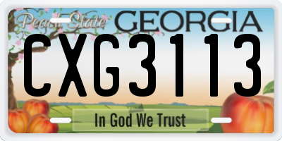 GA license plate CXG3113