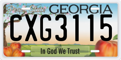 GA license plate CXG3115