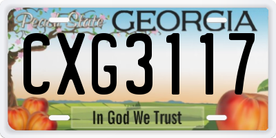 GA license plate CXG3117