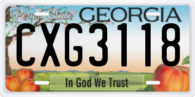 GA license plate CXG3118
