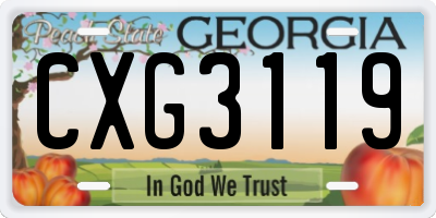 GA license plate CXG3119