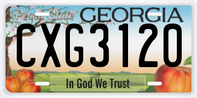 GA license plate CXG3120