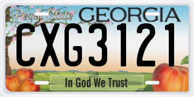 GA license plate CXG3121