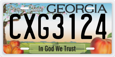 GA license plate CXG3124