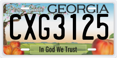 GA license plate CXG3125