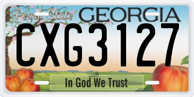 GA license plate CXG3127