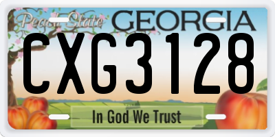 GA license plate CXG3128