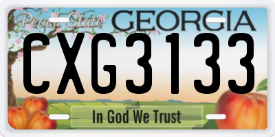 GA license plate CXG3133