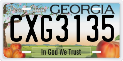 GA license plate CXG3135
