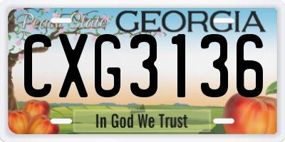 GA license plate CXG3136