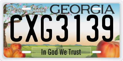 GA license plate CXG3139