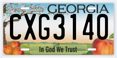 GA license plate CXG3140