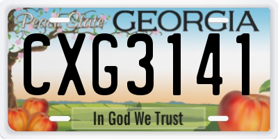 GA license plate CXG3141