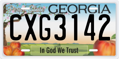 GA license plate CXG3142