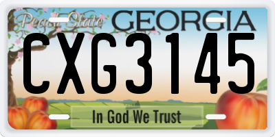 GA license plate CXG3145