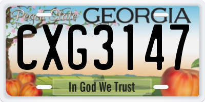 GA license plate CXG3147