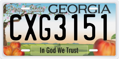 GA license plate CXG3151