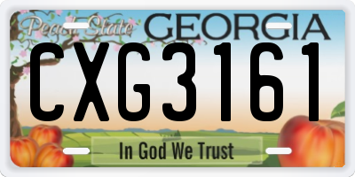 GA license plate CXG3161