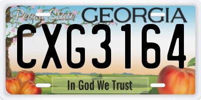 GA license plate CXG3164