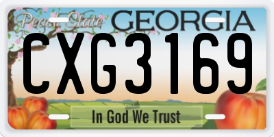 GA license plate CXG3169