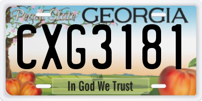GA license plate CXG3181