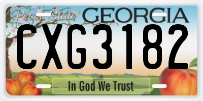 GA license plate CXG3182