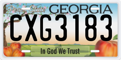 GA license plate CXG3183