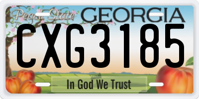 GA license plate CXG3185