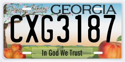 GA license plate CXG3187